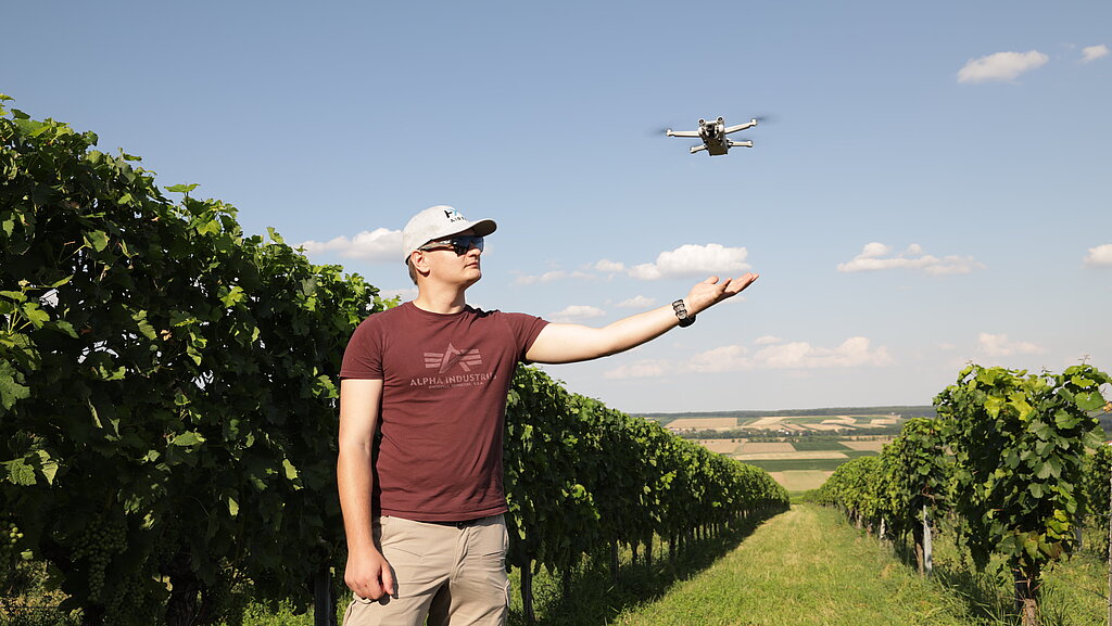 Eine Drohne fliegt über einen Weinberg und steuert auf die ausgestreckte Hand eines Mitarbeiters der PMS SAS zu