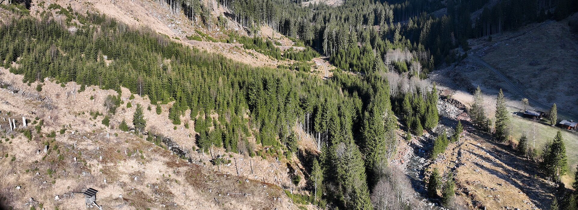 Ein abgeschiedenes Tal in den Bergen mit abgeholzten Flächen und einem Wildbach