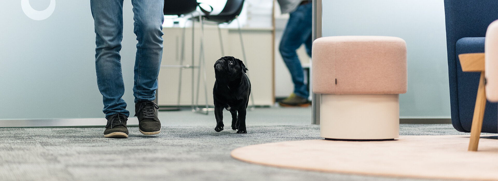Ein Mitarbeiter mit seinem kleinen schwarzen Hund im Büro, dahinter unterhalten sich Kollegen